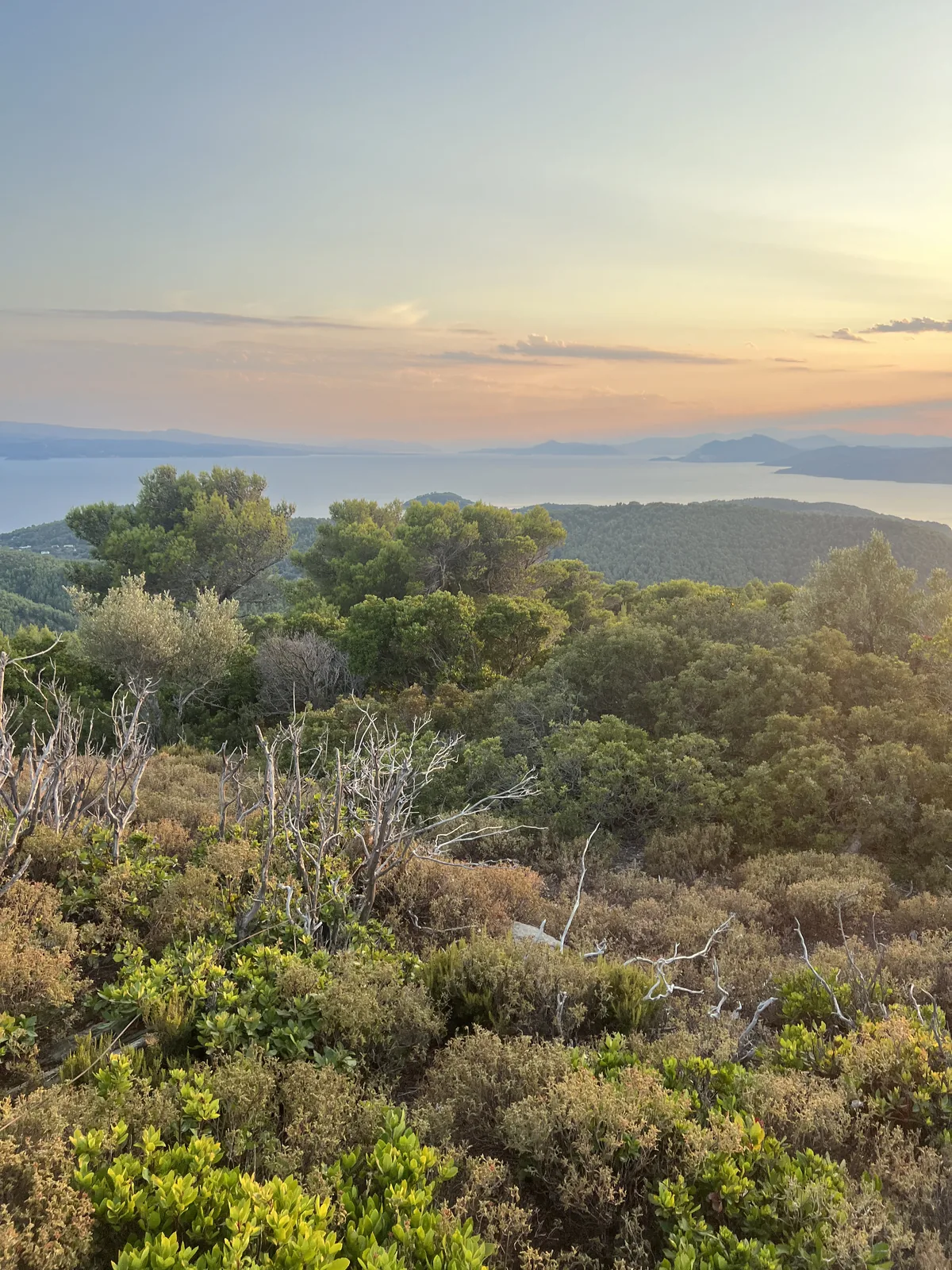 Villa Baboo – Foto 62