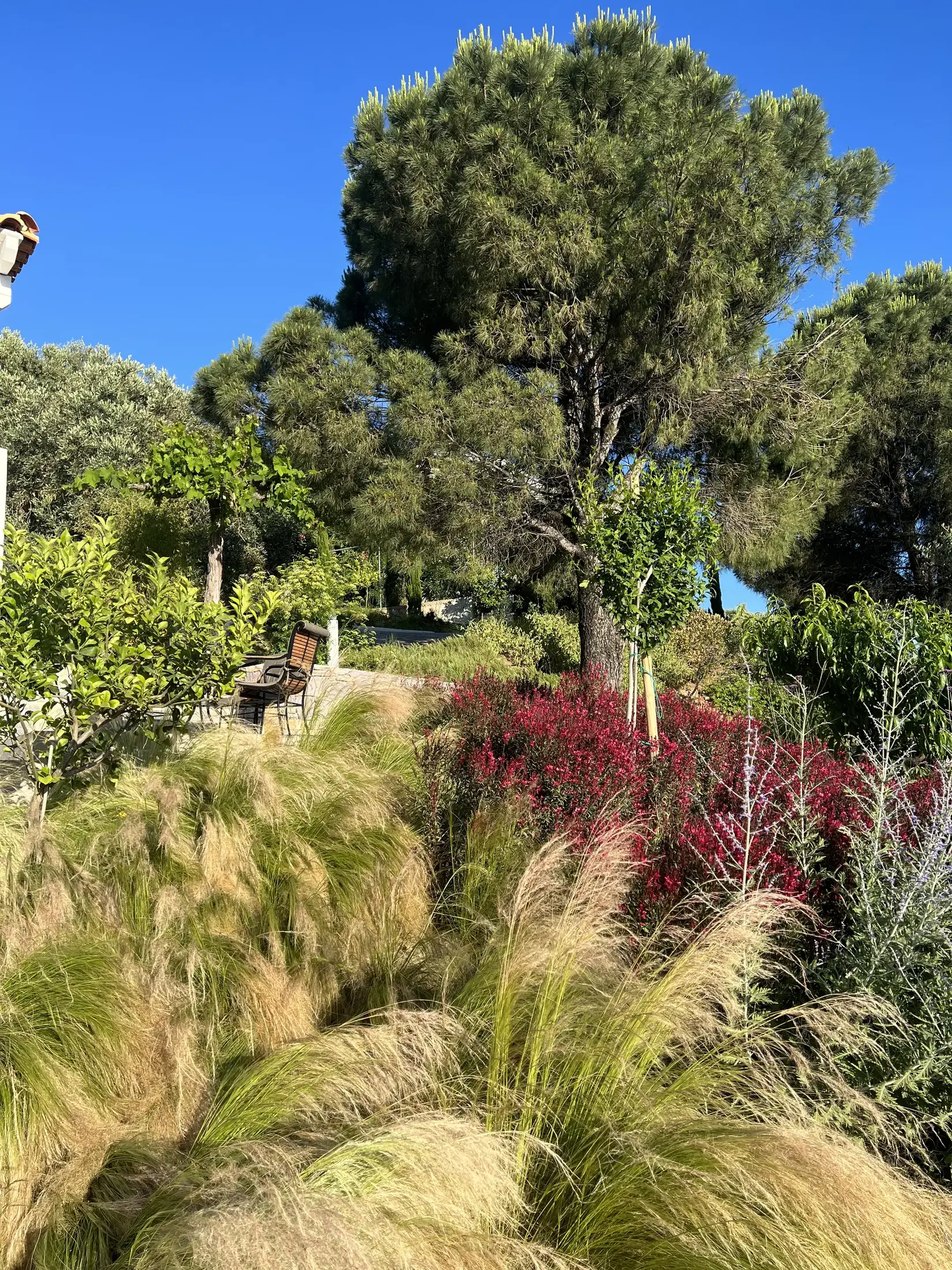 Villa Baboo – Garten